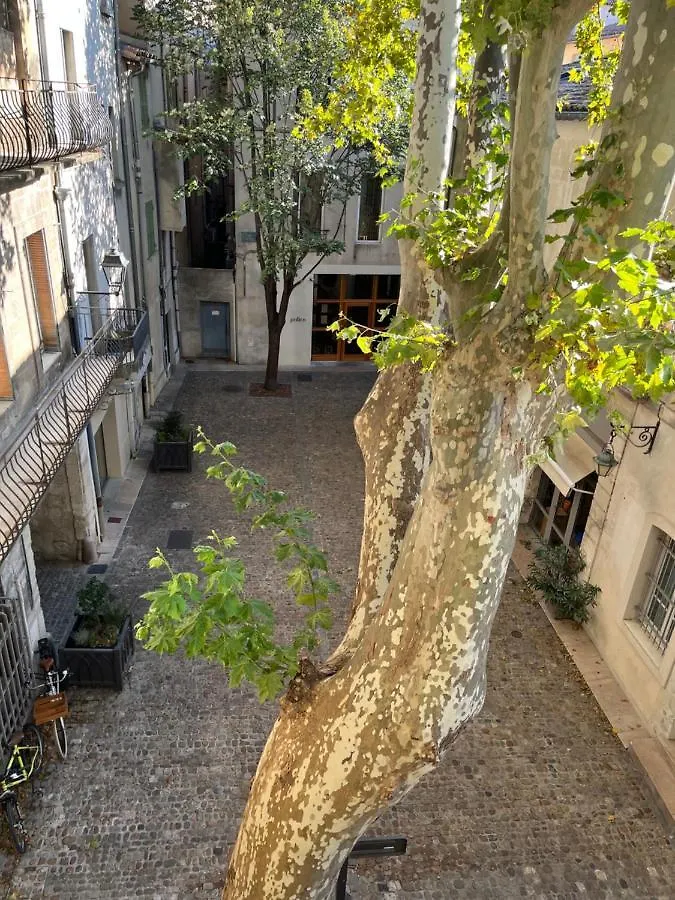 Apartment La Charmante Du Palais 2 Chambres Avignon France